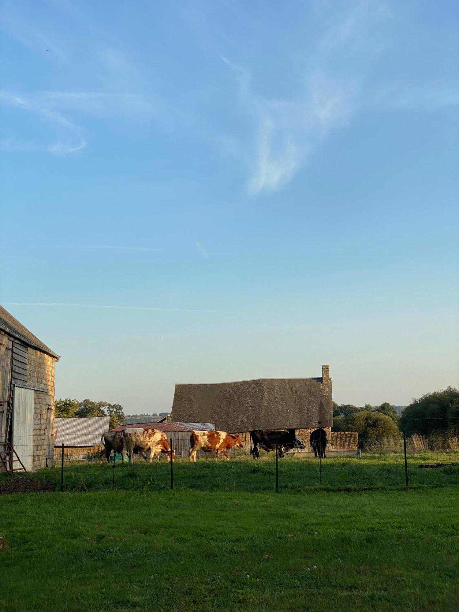 Entire Farm House Stay, La Gerouardiere Barenton ภายนอก รูปภาพ